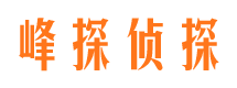 武陟市婚外情调查